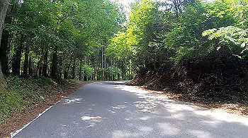 gx010657_x264.mp4_snapshot_00.00_thumb.jpg