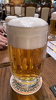 20200616_073806875_ios_thumb.jpg
