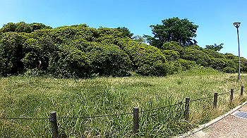 gx010679_x264.mp4_snapshot_00.54_thumb.jpg