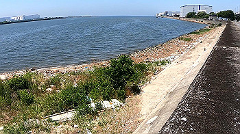 gx010693_x264.mp4_snapshot_00.26_thumb.jpg