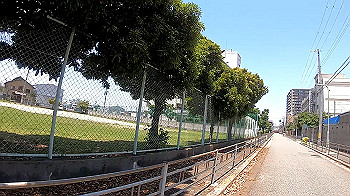 gx010709_x264.mp4_snapshot_01.20_thumb.jpg
