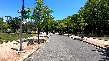 gx010715_x264.mp4_snapshot_00.53_thumb.jpg