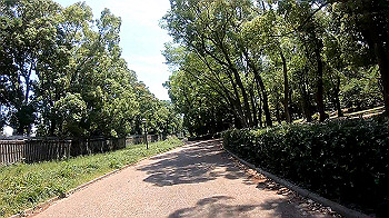 gx010716_x264.mp4_snapshot_00.06_thumb.jpg