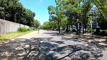 gx010718_x264.mp4_snapshot_00.03_thumb.jpg