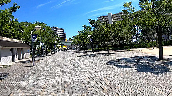 gx010718_x264.mp4_snapshot_00.58_thumb.jpg