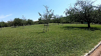 gx010720_x264.mp4_snapshot_00.12_thumb.jpg