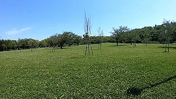 gx010720_x264.mp4_snapshot_00.16_thumb.jpg