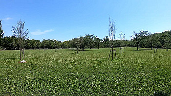 gx010720_x264.mp4_snapshot_00.18_thumb.jpg
