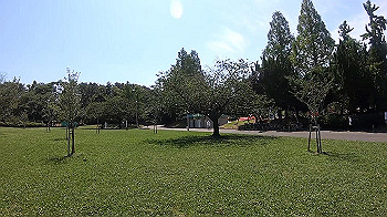 gx010721_x264.mp4_snapshot_00.00_thumb.jpg