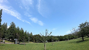 gx010721_x264.mp4_snapshot_00.27_thumb.jpg