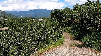 gx010731_x264.mp4_snapshot_00.28_thumb.jpg