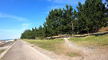 gx010771_x264.mp4_snapshot_03.34_thumb.jpg