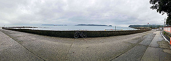 20200708_062246613_ios_thumb.jpg