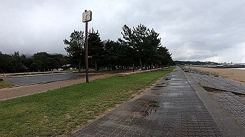 gx010776_x264.mp4_snapshot_00.51_thumb.jpg