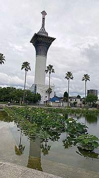 20200717_042102726_ios_thumb.jpg