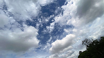 20200717_050358147_ios_thumb.jpg