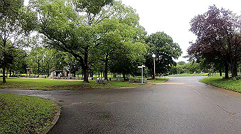 gx010812_x264.mp4_snapshot_00.11_thumb.jpg
