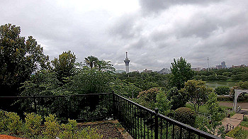 gx010813_x264.mp4_snapshot_02.34_thumb.jpg