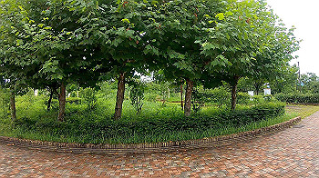 gx010814_x264.mp4_snapshot_00.06_thumb.jpg