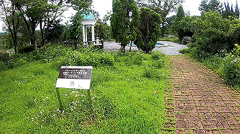 gx010815_x264.mp4_snapshot_01.08_thumb.jpg