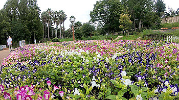 gx010816_x264.mp4_snapshot_00.20_thumb.jpg