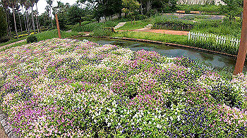 gx010816_x264.mp4_snapshot_00.28_thumb.jpg