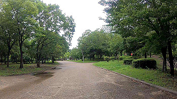 gx010817_x264.mp4_snapshot_01.56_thumb.jpg