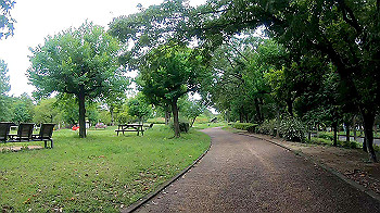 gx010818_x264.mp4_snapshot_01.38_thumb.jpg