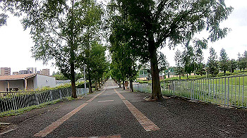 gx010819_x264.mp4_snapshot_00.09_thumb.jpg