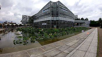 gx010821_x264.mp4_snapshot_00.11_thumb.jpg