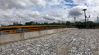 gx010825_x264.mp4_snapshot_00.32_thumb.jpg