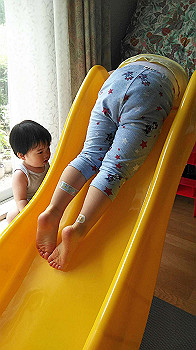 20200803_053728000_ios_thumb.jpg