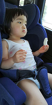 20200804_043649000_ios_thumb.jpg