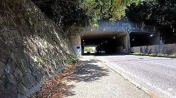 gx010841_x264.mp4_snapshot_00.00_thumb.jpg