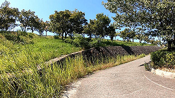 gx010856_x264.mp4_snapshot_00.00_thumb.jpg