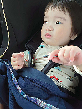20200922_062806000_ios_thumb.jpg