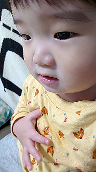 20201009_030611000_ios_thumb.jpg
