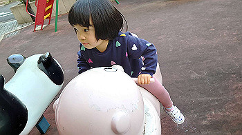 20201013_073835000_ios_thumb.jpg