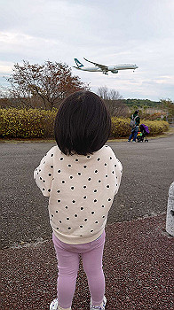 20201108_060202000_ios_thumb.jpg