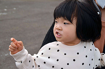 20201108_063739000_ios_thumb.jpg