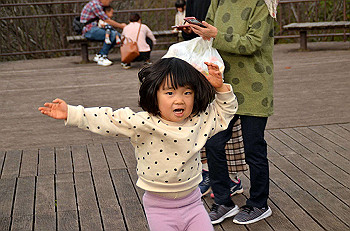 20201108_064007000_ios_thumb.jpg