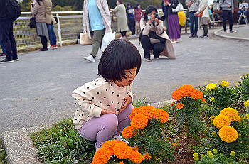 20201108_064252000_ios_thumb.jpg