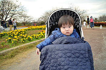 20201108_064447000_ios_thumb.jpg