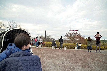 20201108_064505000_ios_thumb.jpg