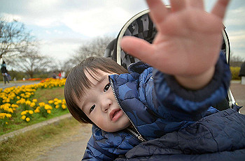 20201108_064935000_ios_thumb.jpg