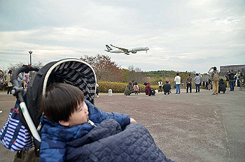 20201108_065009000_ios_thumb.jpg