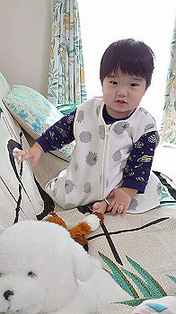20201112_003112000_ios_thumb.jpg