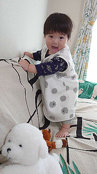 20201112_003146000_ios_thumb.jpg