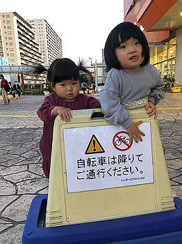 20201114_074047000_ios_thumb.jpg
