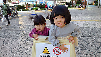20201114_074048000_ios_thumb.jpg